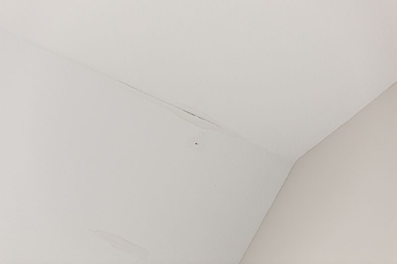 Attic Water Damage Repair in Santa Rosa, CA